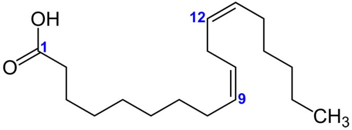 083_hasard100_Linolsaeure