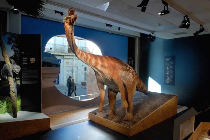 Hasard100_Titanosaure