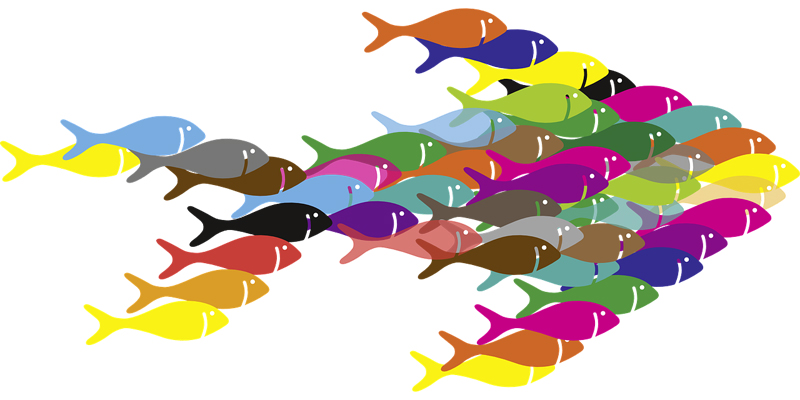 001_hasard100_gemeinsam